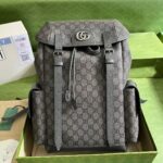 Buy Designer Luxury Backpack Pallets